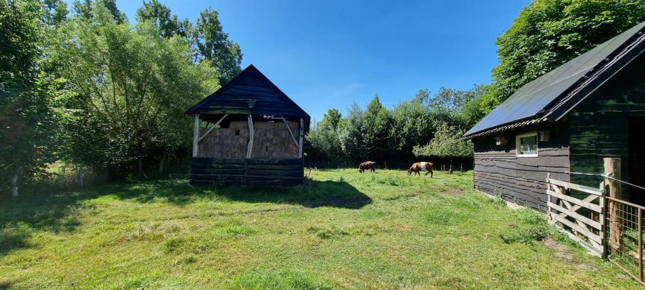 Yurt