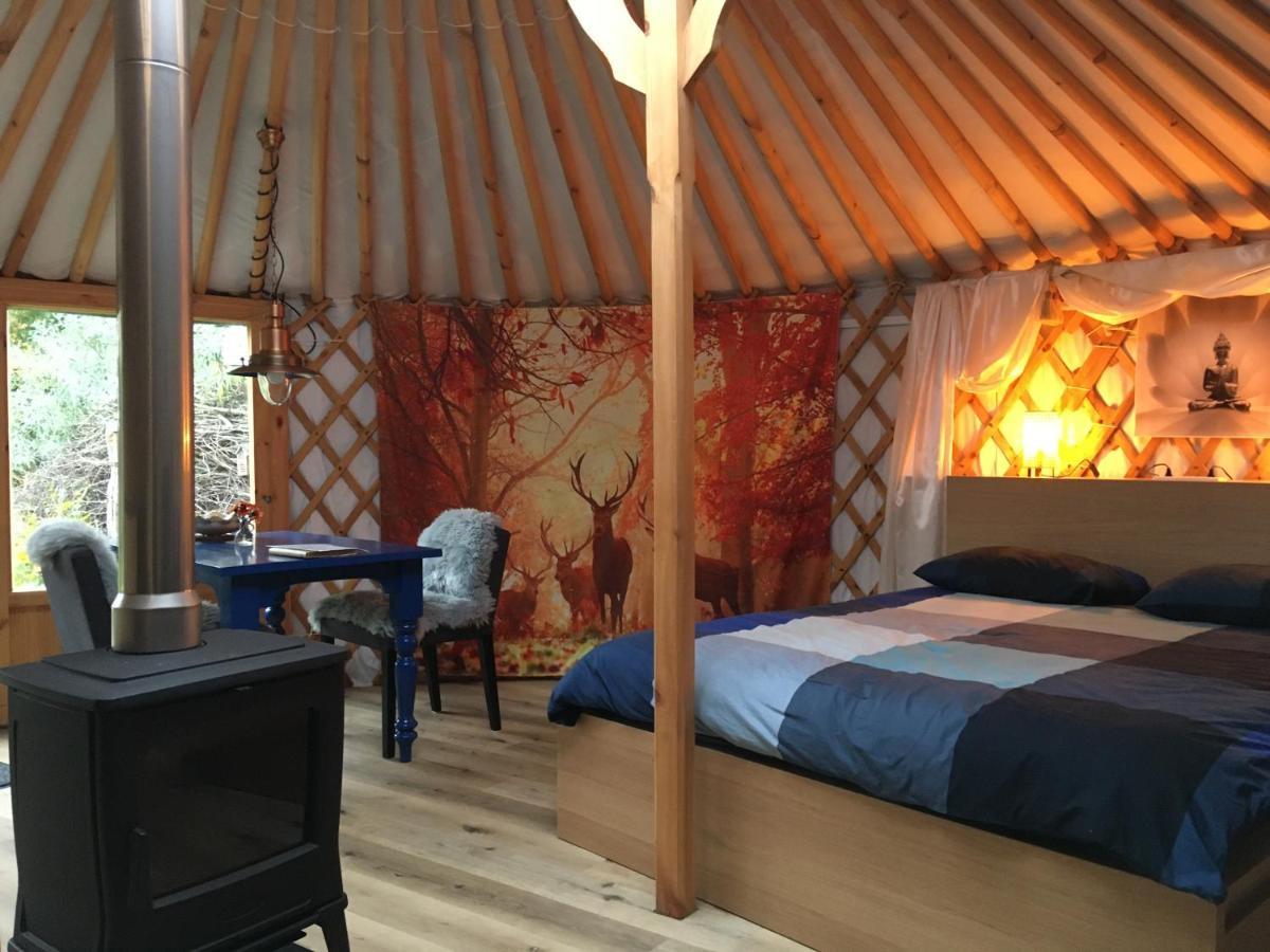 Luxury tent Yurt Liempde